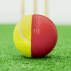 FORTRESS Cricket Swing Balls | Net World Sports