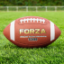 FORZA TD100 American Football Game ball 