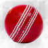 FORTRESS Machine Stitched Royal Crown Cricket Balls [4x Colours]