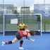 FORZA Hockey Target Net