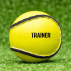 FORZA Training Hurling Ball | Net World Sports