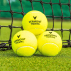 60 Pressureless Cricket Balls For Net Sessions | Net World Sports