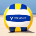 Size 5 Training Volleyball | Net World Sports