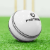 FORTRESS Cricket 'Incrediball' Practice Balls [Box of 6]