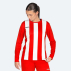 Ladies soccer