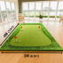 Various Holes For Challenging Putting