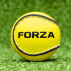 FORZA Training Hurling Ball | Net World Sports