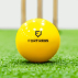FORTRESS Garden Cricket Balls [Box of 6]