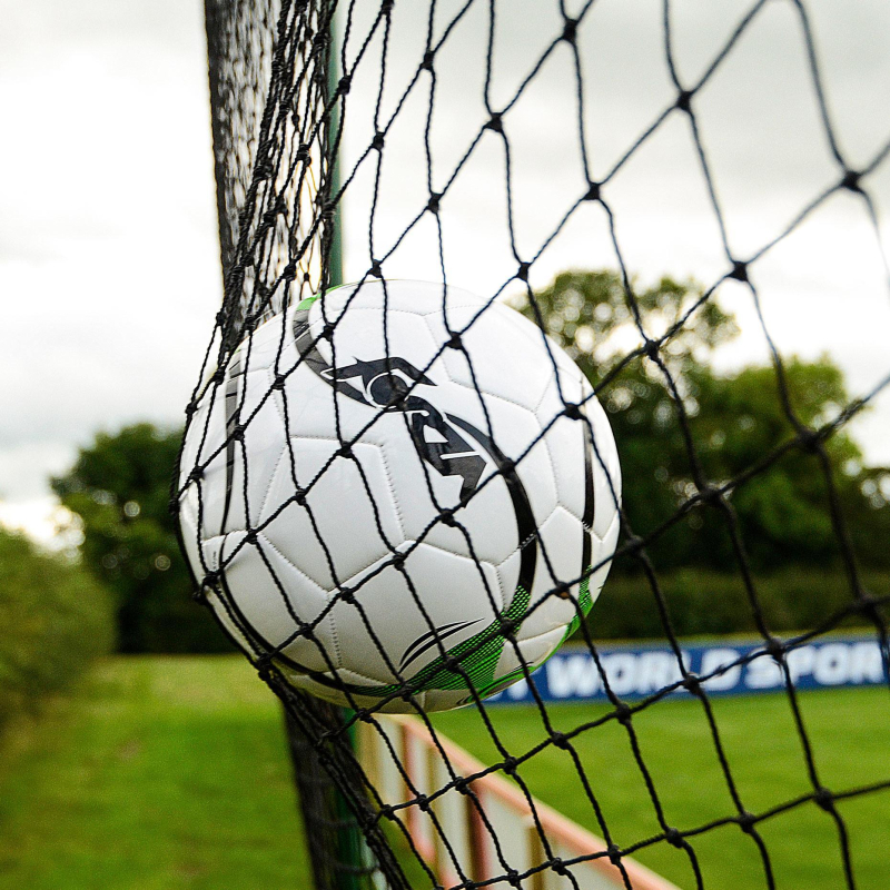 Ball Stop Netting Multi Sport | Net World Sports