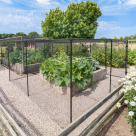 Video for Harrier Walk-In Fruit & Veg Garden Cage