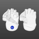 Video for FORTRESS Original Wicket Keeper Gloves