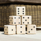 Video for Harrier Giant Dice Set 