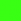 Fluro Green