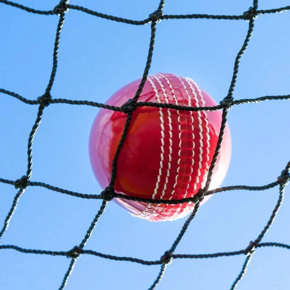 Cricket Netting