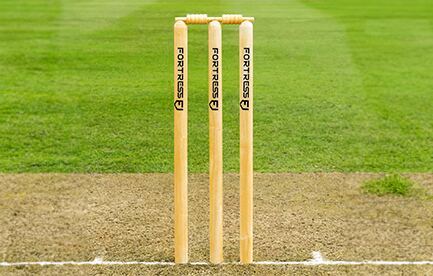 Cricket Pitch Size Guide