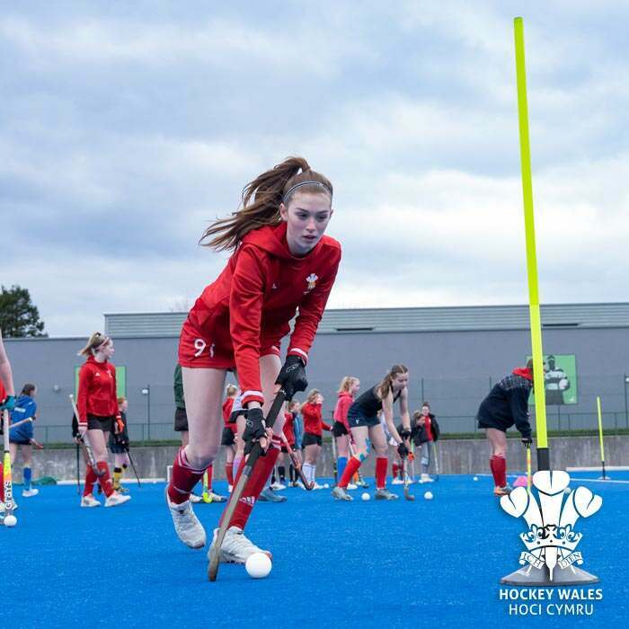 training hockey balls 