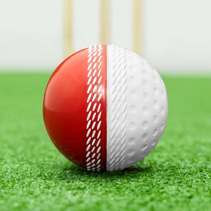 reverse swing cricket training ball