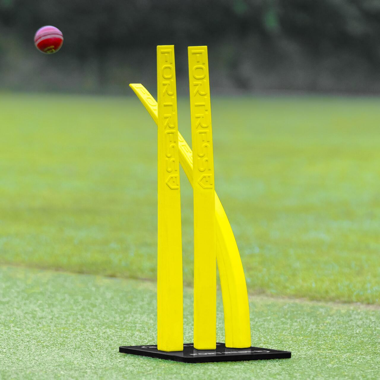 Portable Cricket Sumps