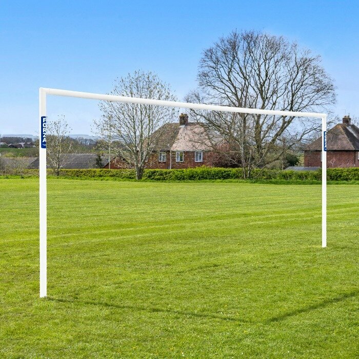 goal frame only