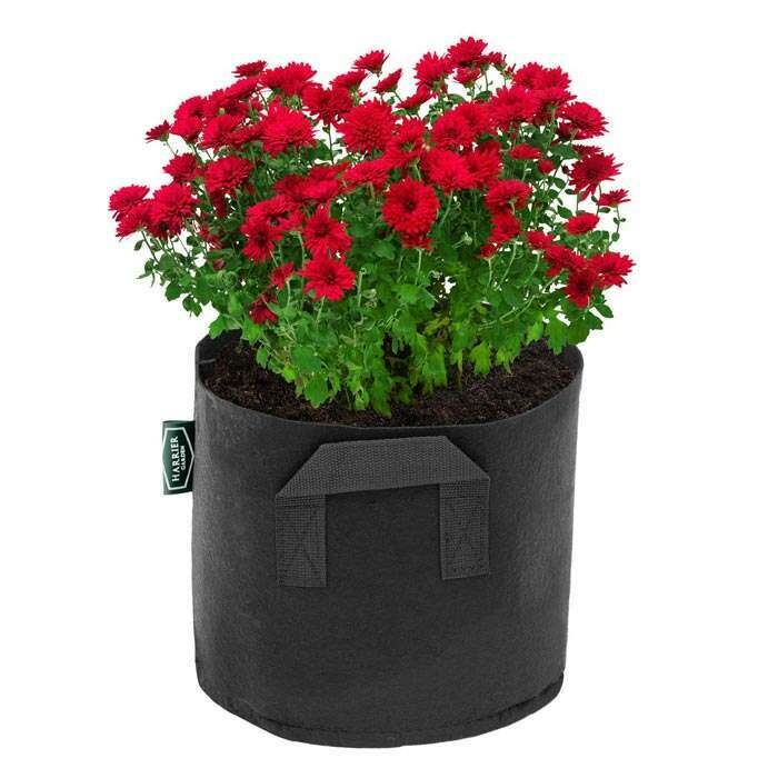 Grow Bags Tomato