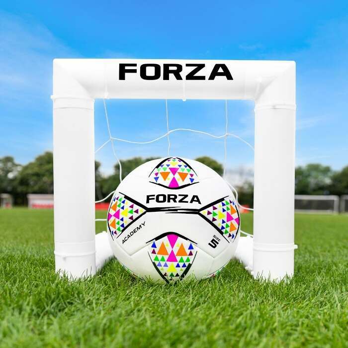 World's Smallest Target Goal