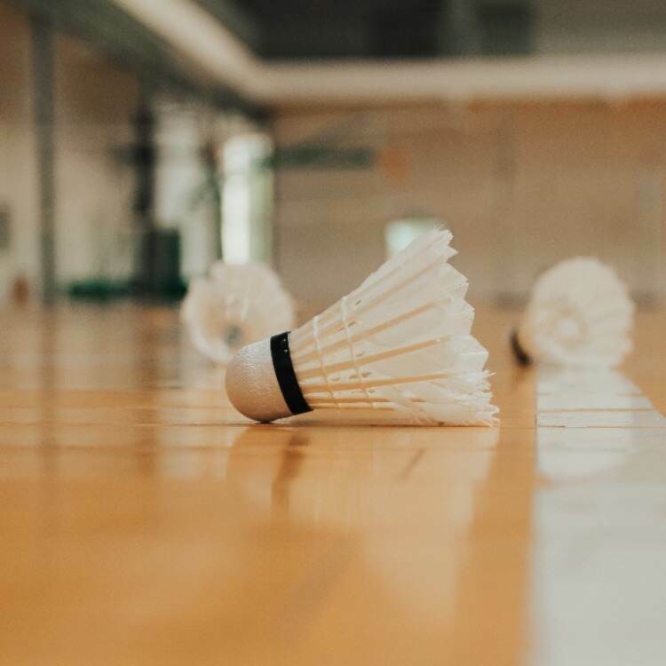 badminton court lines shuttlecock in foreground