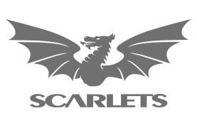 Scarlets Rugby